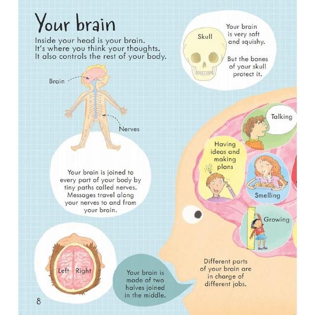 Look Inside Your Body from Usborne