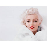 Marilyn Monroe Photograph Canvas Print