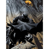DC Comics Batman Night Watch Canvas Print
