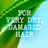 Maui Moisture Revive &amp;amp; Hydrate+ Shea Butter Conditioner   385ml