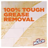 Mr Muscle Platinum Antibacterial Kitchen Spray Citrus   750ml