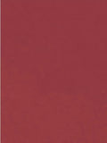 Nailberry L'Oxyg&amp;eacute;n&amp;eacute; Oxygenated Nail Lacquer