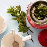 Ocado Mint   30g