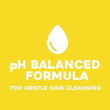 OGX Clarify &amp;amp; Shine + Apple Cider Vinegar Conditioner 385ml