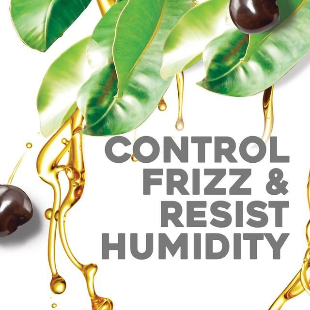 OGX Hydrate &amp;amp; Defrizz+ Kukui Oil pH Balanced Shampoo   385ml