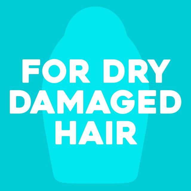 OGX Renewing+ Argan Oil of Morocco pH Balanced Conditioner   385ml