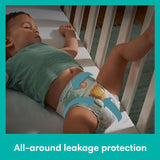 Pampers Baby-Dry Size 6 Nappies Essential Pack