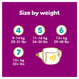 Pampers Premium Protection Nappies Size 4 (9-14kg) Essential Pack   37 per pack
