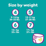 Pampers Premium Protection Nappy Pants Size 7 Jumbo Pack   40 per pack
