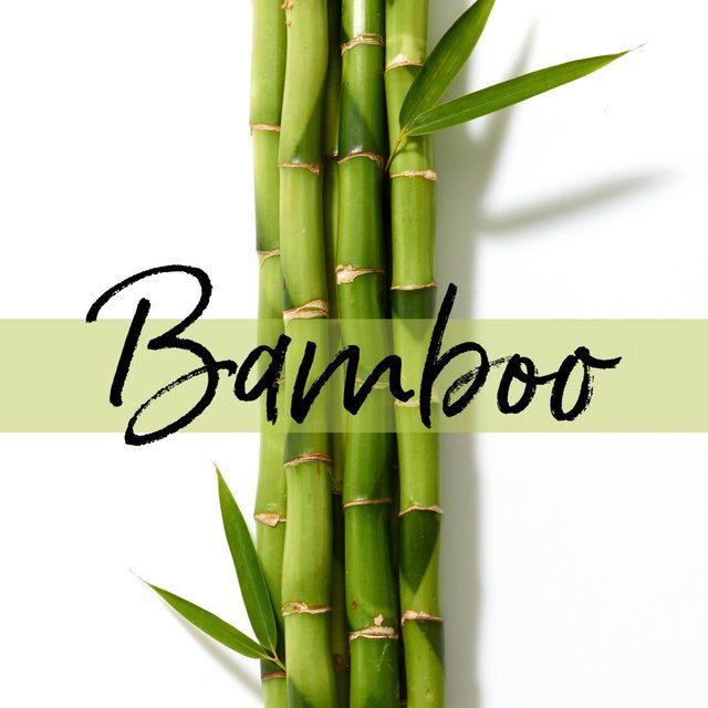 Pantene Grow Strong Shampoo With Bamboo And Biotin   400ml
