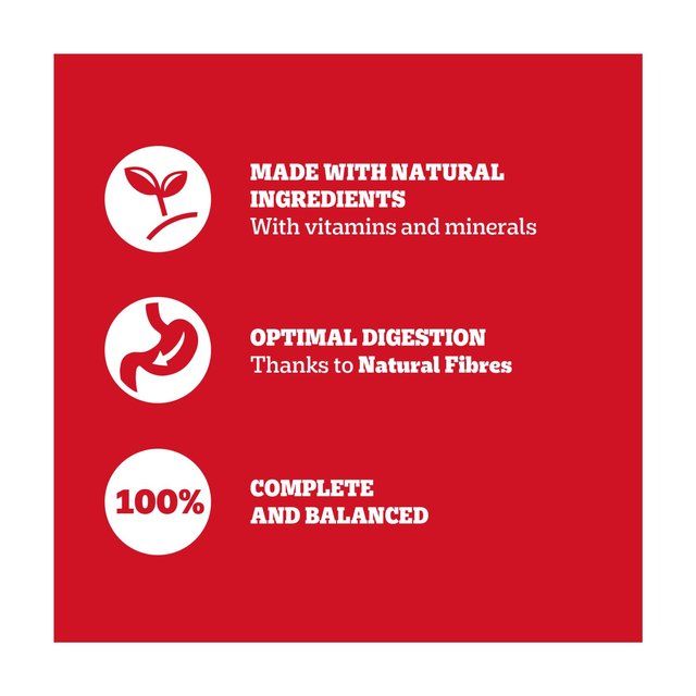 Pedigree Adult Wet Dog Food Tins Mixed in Loaf   6 x 400g