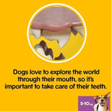 Pedigree Dentastix Daily Adult Small Dog Treats    7 x 16g