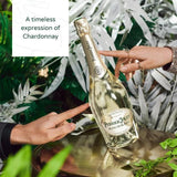Perrier Jouet Blanc de Blanc   75cl