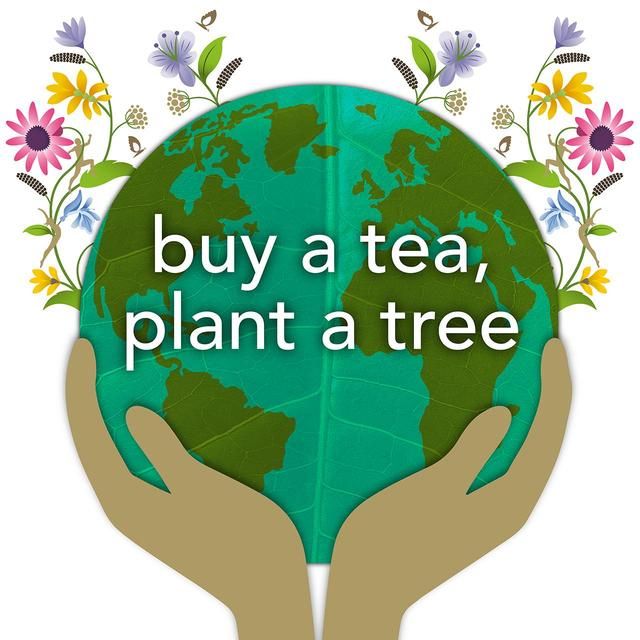 Pukka Tea Organic Elegant English Breakfast Tea Bags   20 per pack