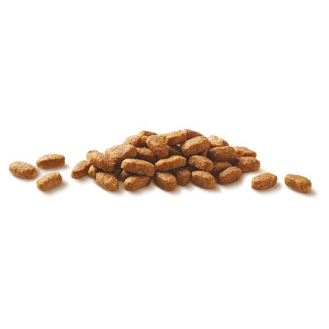 Purina One Chicken Dry Cat Food    800g