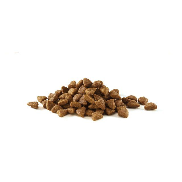 Purina One Coat &amp;amp; Hairball Chicken Dry Cat Food    750g