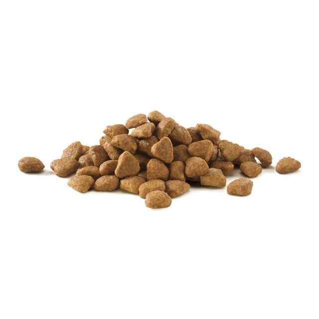 Purina ONE Urinary Care Dry Cat Food Chicken   750g
