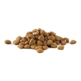 Purina ONE Urinary Care Dry Cat Food Chicken   750g