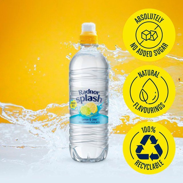 Radnor Splash Lemon &amp;amp; Lime Flavoured Water   6 x 500ml