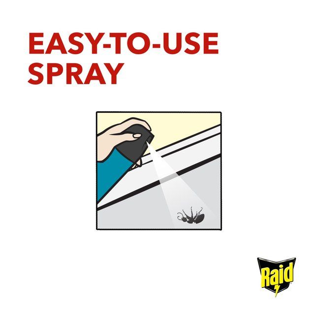 Raid Fly Wasp &amp;amp; Mosquito Killer with Eucalyptus Aroma Oil   300ml