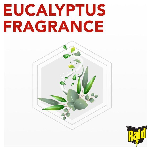 Raid Fly Wasp &amp;amp; Mosquito Killer with Eucalyptus Aroma Oil   300ml