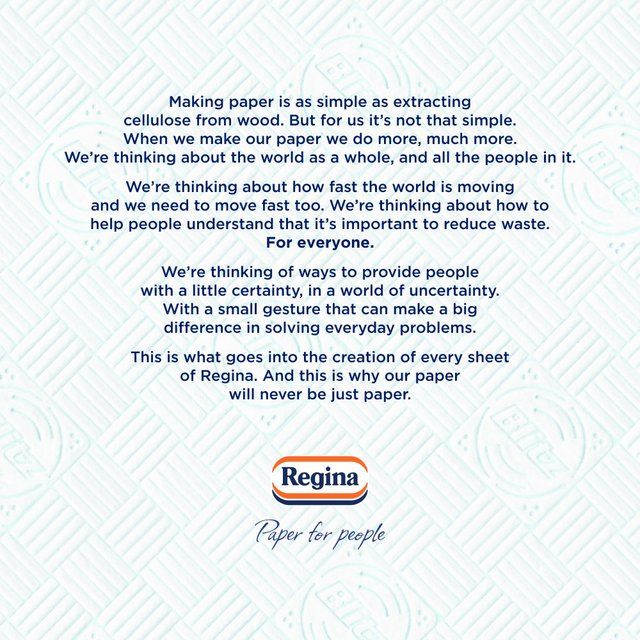 Regina Blitz Household Towel    3 per pack