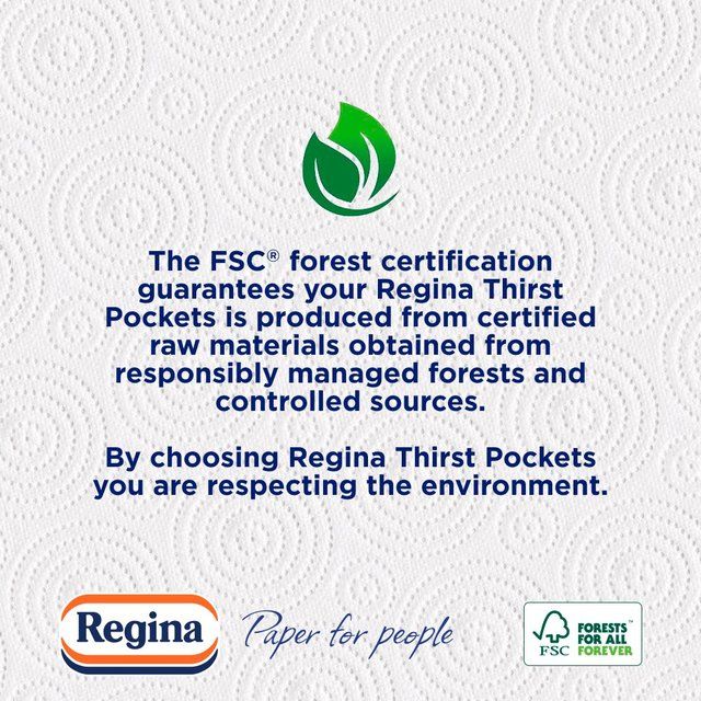 Regina Thirst Pockets Kitchen Roll   4 per pack