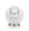 Rio MIA Cat Essential Oil Diffuser, Humidifier &amp;amp; Night Light