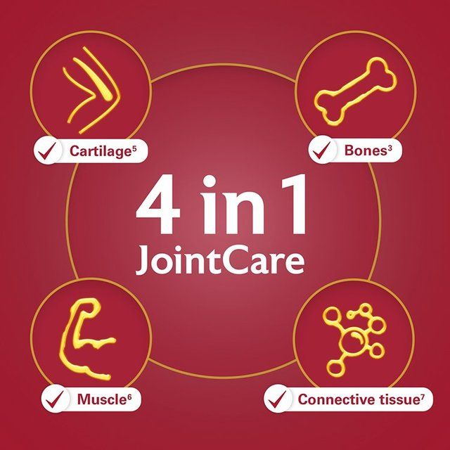 Seven Seas JointCare Active Glucosamine Omega-3 &amp;amp; Chondroitin 60 Caps   60 per pack