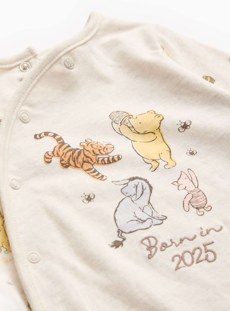 Winnie The Pooh Born in 2025 Sleepsuit & Hat Set 9-12 months