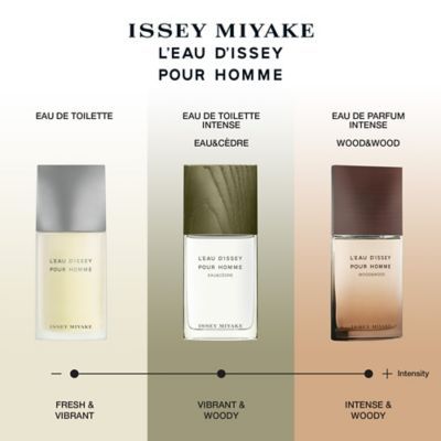 Issey Miyake L'Eau d'Issey Pour Homme Eau de Toilette 125ml