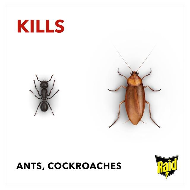 Raid Ant & Cockroach Killer GOODS ASDA   