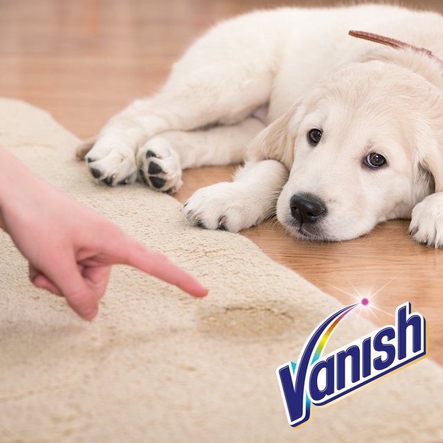 Vanish Pet Expert Upholstery & Carpet Cleaner Spray 500ml