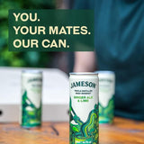 Jameson Irish Whiskey Ginger Ale &amp; Lime Pre-Mixed Can