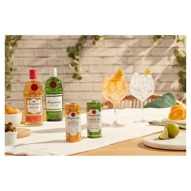 Tanqueray London Dry Gin & Tonic Ready to Drink Can