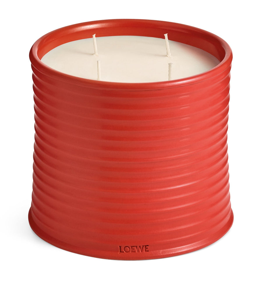 Large Tomato Leaves Candle (2.12kg)