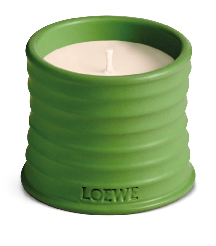 Small Luscious Pea Candle (170g)